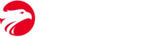 Wizard by Pearson